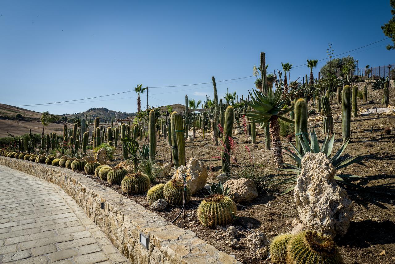 Garden Cactus Landhuis