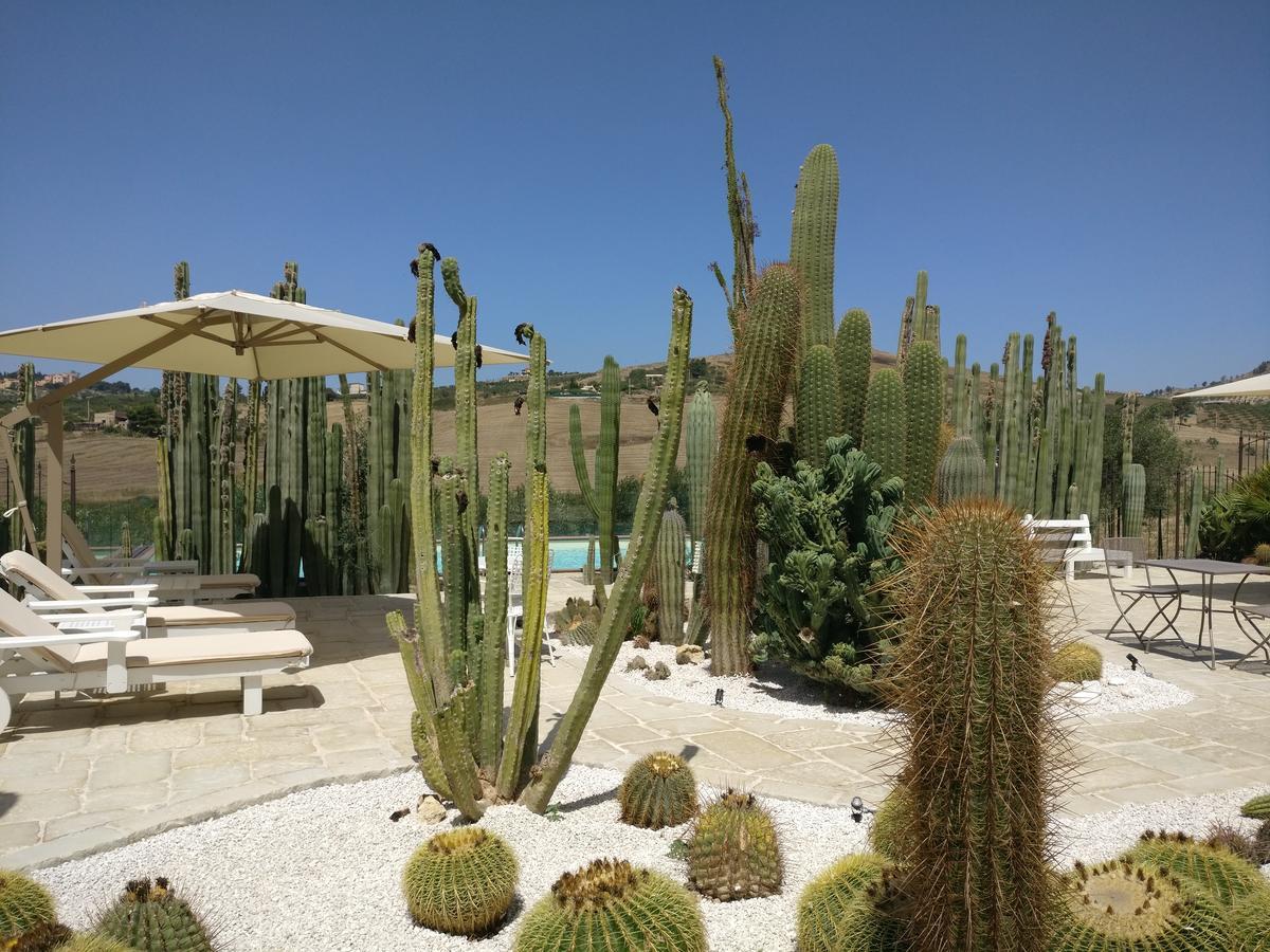 Garden Cactus Casa de Campo Villaggio Mosè