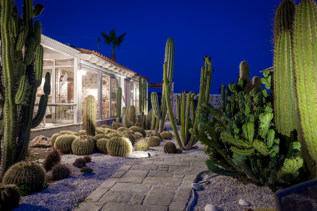 Garden Cactus Casa de Campo