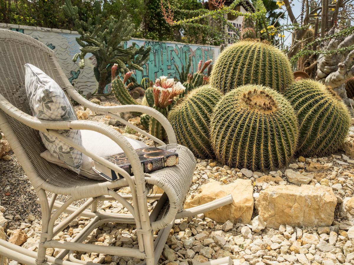 Garden Cactus